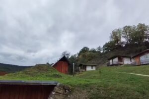 Agotzenea
