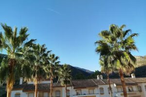 Apartamento ANY