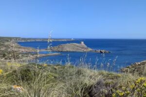 Arenas de son bou