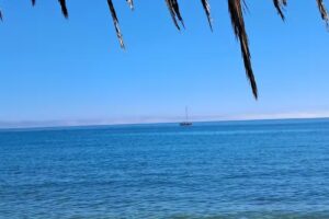 Biasa Holidays