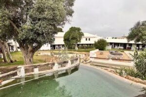 Binivell Park – Caliu Apartments by ehogroup