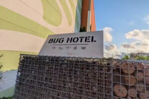 BUG HOTEL