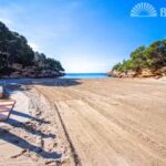 Calafat