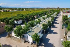 Camping Los Naranjos – NUEVA GERENCIA by SAMAY RESORTS