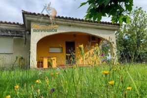 Camping Monfragüe. Restaurante y Bungalows