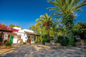 Camping Paloma
