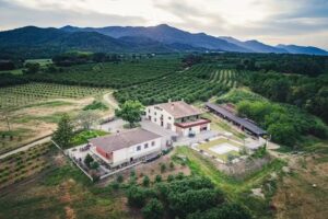 Can Pons de Dalt
