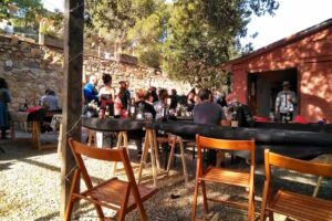 Casa castell vell