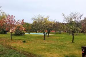 Casa Constanza