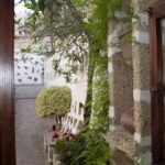 Casa el Pino