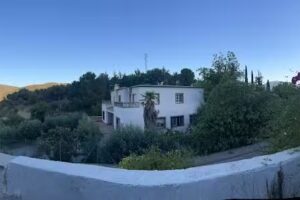 Casa los Lagartos