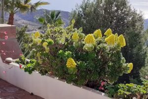 Casa Luisa