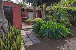 Casa Palmera