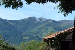 Casa rural El Tejo