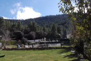 Casa Rural “Los Nogales”.