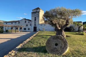 Casa Rural Mas D’Alerany