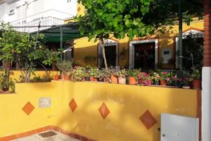 Club los pinares
