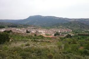 Coll Creuix S.L