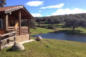Complejo Rural Los Jarales