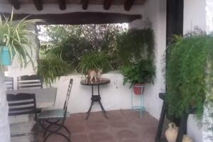 Cortijo El Mohedano