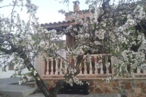 Cortijo Nispero