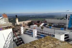 EL Almizcate