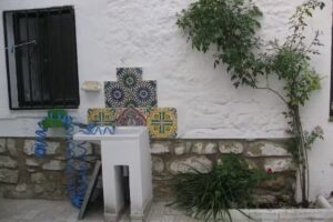 El Árbol De La Mariquita