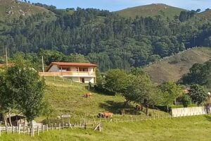 El Mirador de Bodes, Alojamiento Turístico