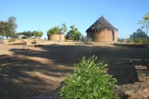 Espacio Educativo Tierra Reverde