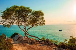 Grupo Inmobiliario Costa Dorada
