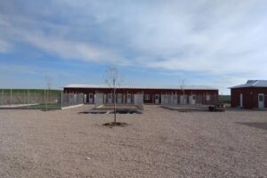 Holiday Can Mocejon hotel canino