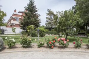 HOTEL PARK SEDÓ