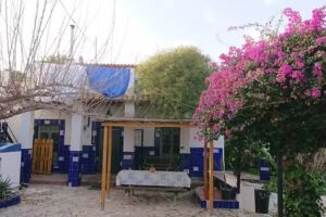 La casa de Paco