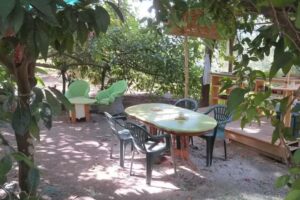 La Casa verde