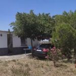 La casina