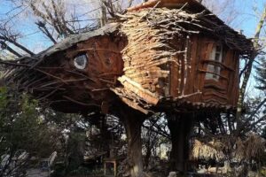 La Casita del Árbol
