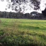 La Colina