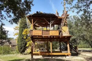La Vinya Del Bosc