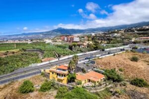 Lila Tenerife