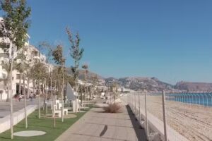 LOS AZULES DE ALTEA