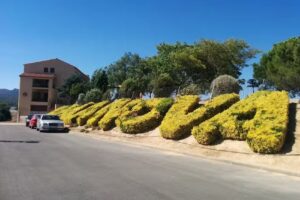 Mas de la Coixa