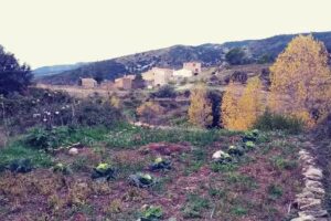 Mas dels Albis