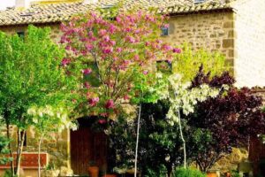 masia cal guim