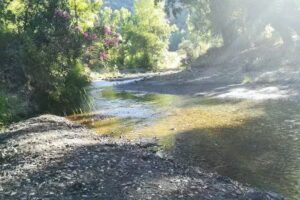 Molino EL Pinillo