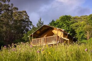 Naterra Lodge