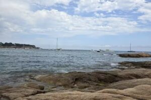 Sagaro