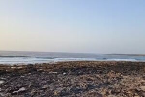 Sea Front Casa Blas