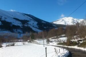 Suertes de Ancares