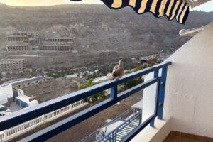 Sunny Modern Apartment – Sea View and Beach Access