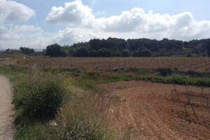 Tossal de la Bala